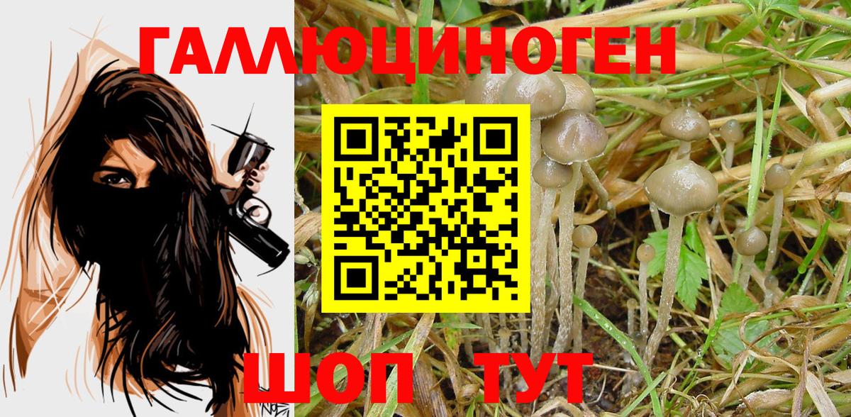 Галлюциногенные грибы MAGIC MUSHROOMS  Псилоцибиновые грибы мицелий  Вход с VPN  Гулькевичи 